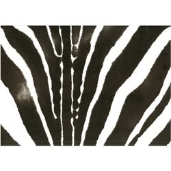 Soft zebra print