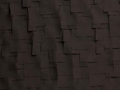 Black old shingle roof
