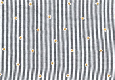 Blue Stripe Daisy
