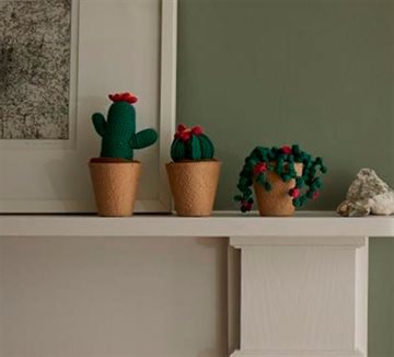 Cactus kit