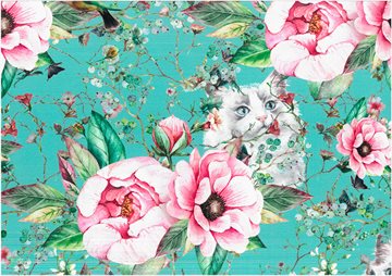 Cat in Peonies