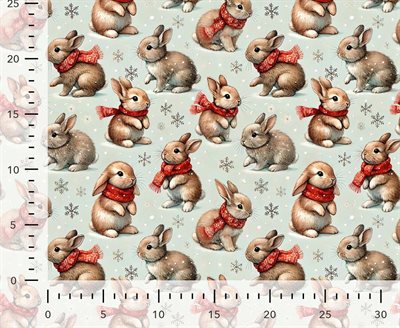 Christmas Winter Rabbit FT