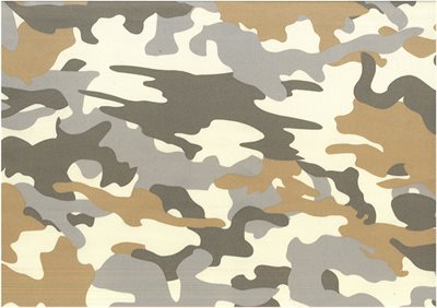 Desert Camouflage