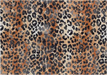 DG animal skin