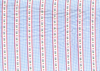 Double Gauze Check Blue