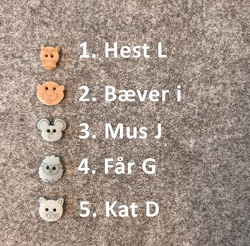 Ecocorozo dyre knap 4. Får G