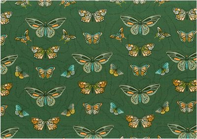 Free Spirited Butterfly