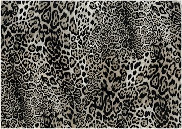 Gepard print