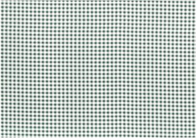 Gingham small green