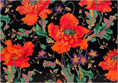 Kaffe Fassett Orange Papaver