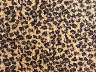 Leopard boucle