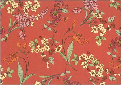 Manduel Apricot