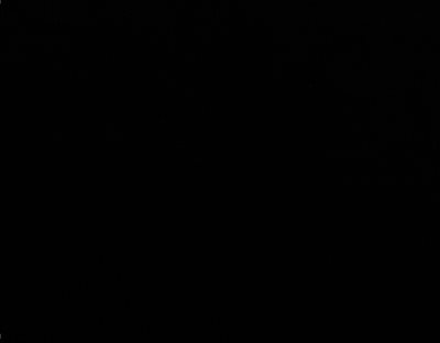 Modal Touch Jersey Black