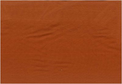 Modal Touch jersey Burnt orange