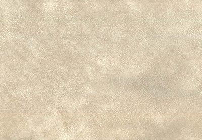 Nubuck Leather Look Shell