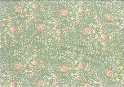 Penelope Dark Willow Wide