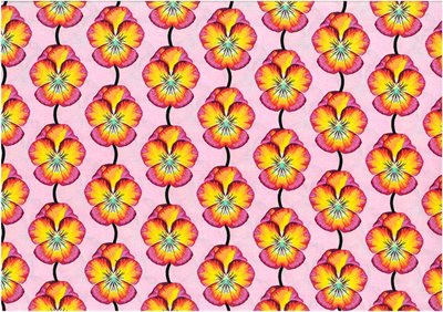 Pink pansies