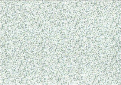 Betty Poplin Mini Fleur Cold