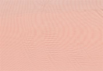 Slinky peach