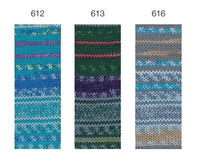 Landlust Die Sockenwolle 613