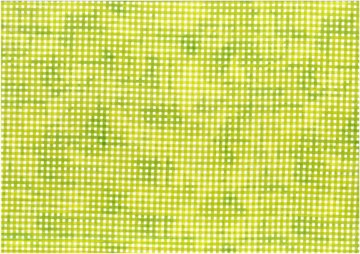 Sorbet checkered green
