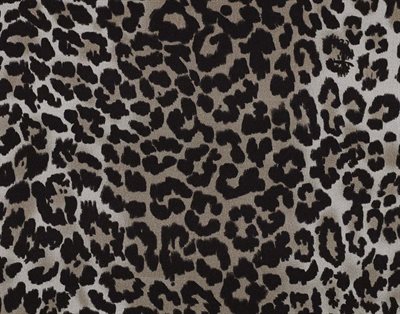 Spotted Cat