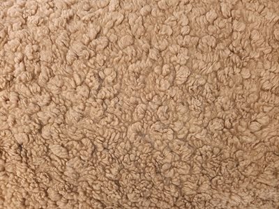 Teddy Boucle Sand