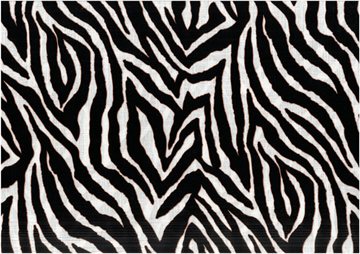 Vilin Zebra 