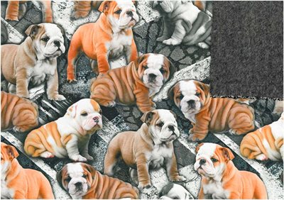 Wellness Puppy Bulldog