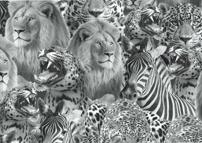 Wild animals knit