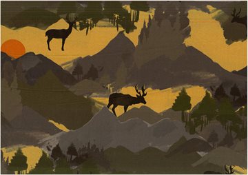 Wild Mountains