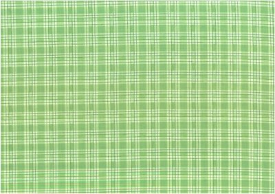 Zest for life green checkered