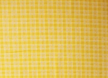 Zest for life yellow checkered